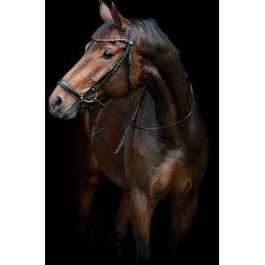 Horse Guard Cryll 25.2. suitset remonttiturpahihnalla