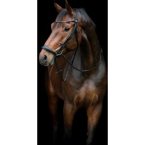 Horse Guard Cryll 25.2. suitset remonttiturpahihnalla