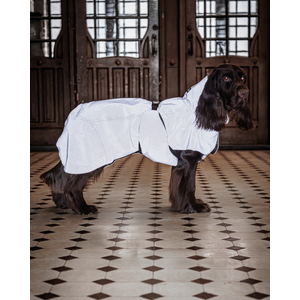 PAIKKA Visibility Raincoat Light
