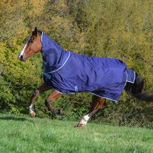 Bucas Atlantic Exclusive 150g & Neck