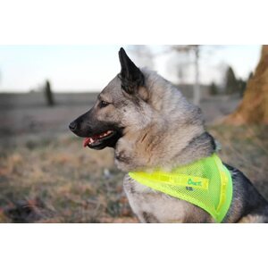 Boett Koiran heijastinliivi