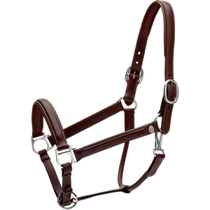 Dy'on Fancy nahkariimu