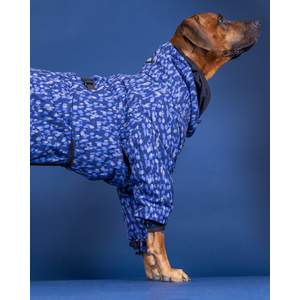 PAIKKA Koiran toppahaalari