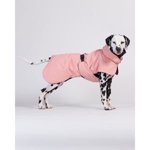 PAIKKA visibility koiran talvitakki villavuorella