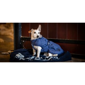 Bucas Cozy koiraloimi