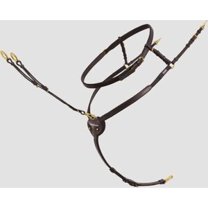 Passier Ingrid Klimke rintaremmi kaulanarulla