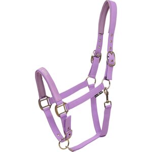 Horse Guard Varsariimu