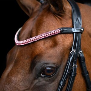 Imperial Riding Beads otsapanta