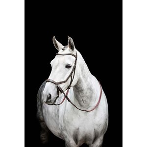 Horseware Micklem Bitless kuolaimettomat suitset