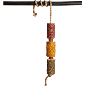 Kentucky Hevosten karsinalelu