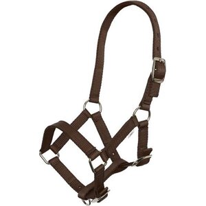 Imperial Riding Varsariimu