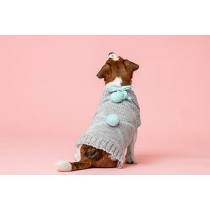 House of Horses PomPom koirien neule