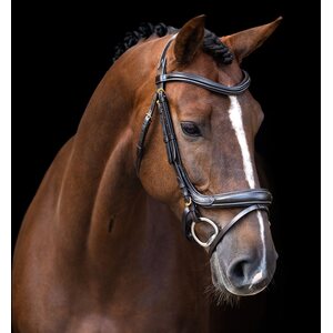 Imperial Riding Anatomisesti muotoillut nivelsuitset