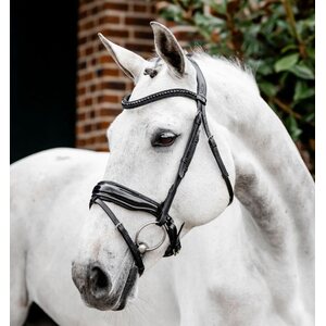 Horseware Diamante Flash nivelsuitset