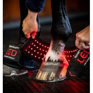 Horseware Red Light Therapy mini wrap
