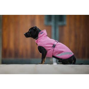 Bucas Freedom 50g koiraloimi