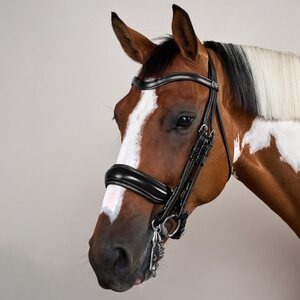 Dy'on Matte Large Crank Noseband Kankisuitset