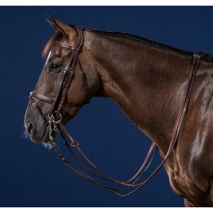 Dy'on Flash noseband kankisuitset