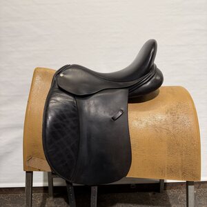 Frank Baines Elegance koulusatula