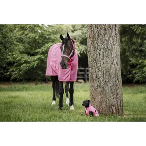 Bucas Freedom Fly Sheet Full Neck hyönteisloimi