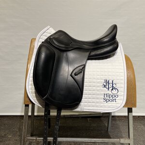Amerigo Pinerolo koulusatula X