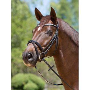 Kieffer Lea nivelsuitset