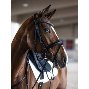 Kieffer Essentilas Xia nivelsuitset