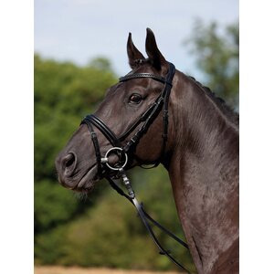 Kieffer Comfort Verona nivelsuitset