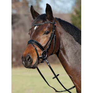 Kieffer Comfort Young Profi nivelsuitset
