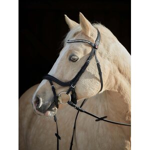 Kieffer Ilona nivelsuitset