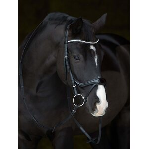 Kieffer Ultrasoft Amy Shine nivelsuitset