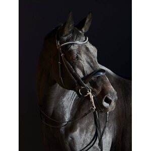 Kieffer Ultrasoft Amy kankisuiset