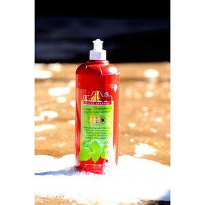 Kevin Bacon's Lucy Diamonds shampoo
