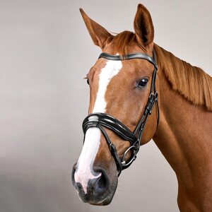 Dy'on Patent Large Crank noseband nivelsuitset working collection