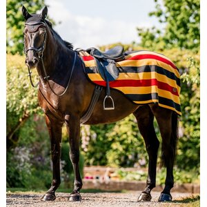 Exercise rugs