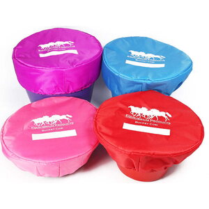 Equilibrium Bucket Cosi