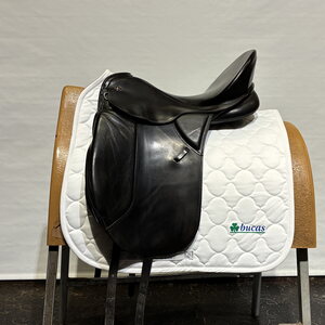 Kieffer Champion koulusatula X