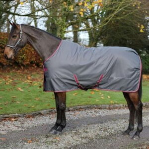 Bucas AW25 Freedom Stable 150g talliloimi