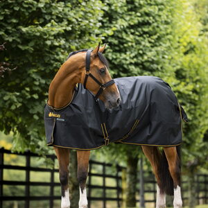 Bucas Irish Turnout Light Big Neck ulkoloimi