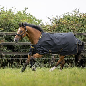 Bucas Irish Turnout 0g sadeloimi