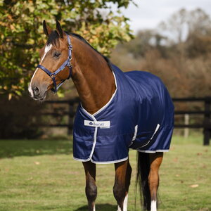 Bucas Freedom Stable 150g talliloimi