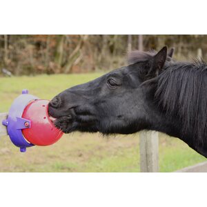 Likit Tongue Twister