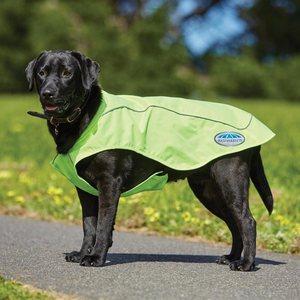 Weatherbeeta Reflective Exercise koiran heijastinloimi