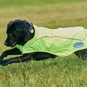 Weatherbeeta Reflective Exercise koiran heijastinloimi