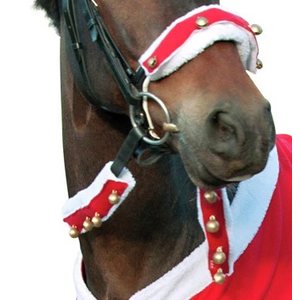 Horse Guard kulkuskoristeet ohjiin