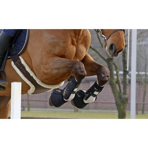 Kentucky Tendon Grip hevosen tuubisukat käytössä