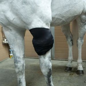 Ice Horse Emergency Wrap kylmäyskääre
