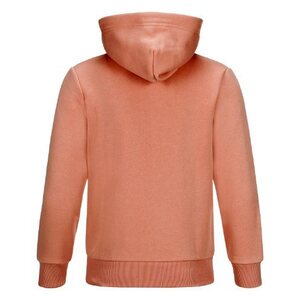 Peak Performance JR Logo ZH huppari