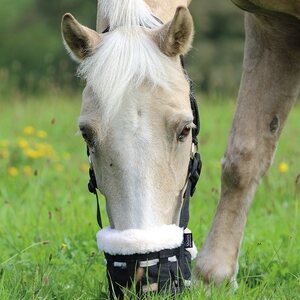 Shires Deluxe kuonokoppa