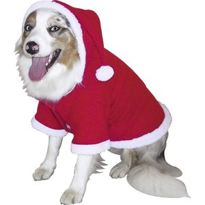 Koiran joulutuotteet